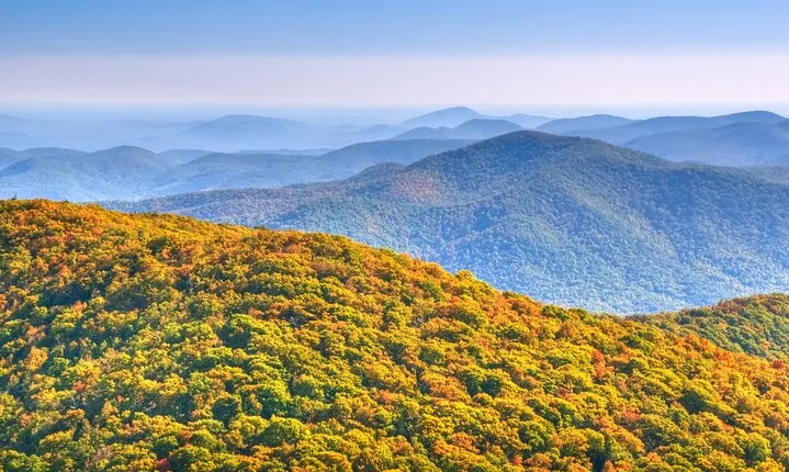 Half-Day Wine Tastings in the North Georgia Mountains 