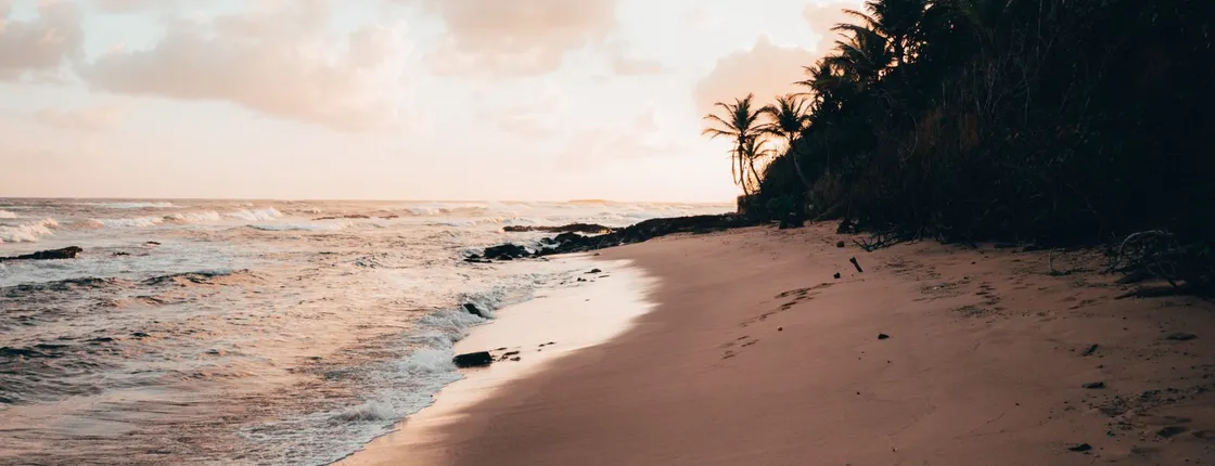 Puerto Rico Experience from City, beach to nature (with visit to El Yunque)