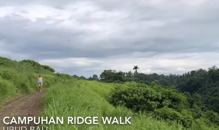 Ubud Full Day Sightseeing Private Guided Tour