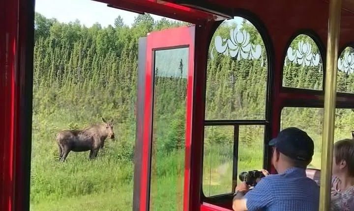 Anchorage Trolley Tour