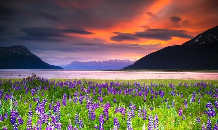 Turnagain Arm Tour