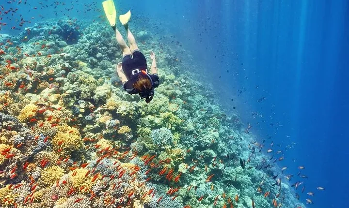 Giftun Island Snorkeling at Hurghada, Red Sea