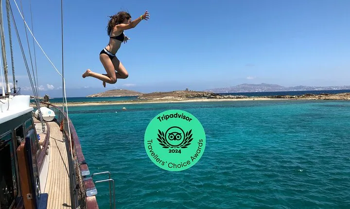Mykonos Sail Cruise to Rhenia, Guided Tour of Delos, Lunch&Drinks