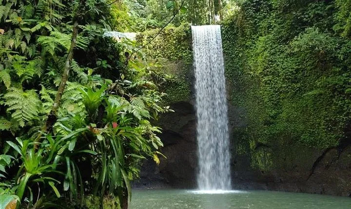 Hidden Beauty of One day with waterfall
