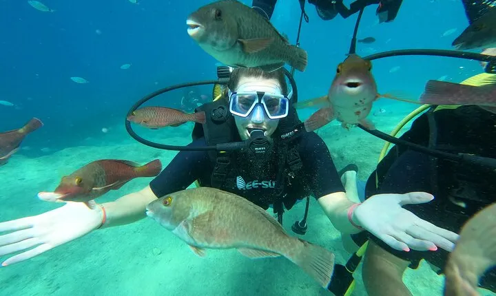 Tour in Alanya with Lunch and Guided Scuba Dives from Side