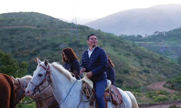 Horseback Riding Experience in Las Cañadas Campamento