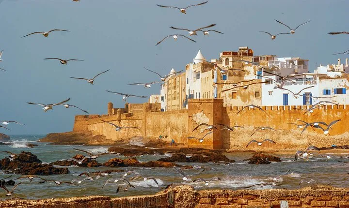 From Marrakech: Full-Day Trip to Essaouira City