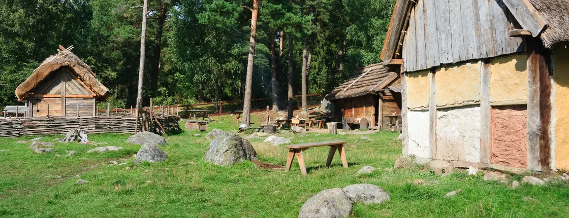 Viking era private excursion