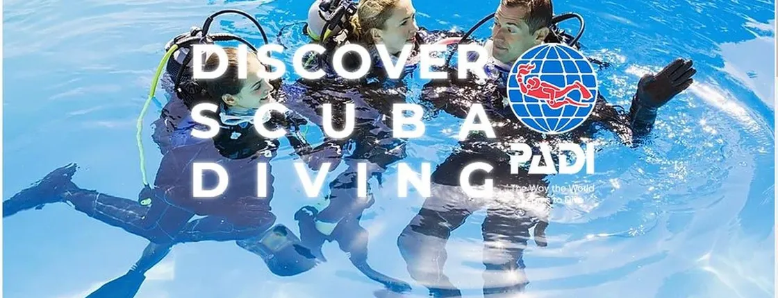 Try Scuba Diving Experience in Funchal