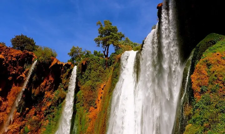 Ouzoud Waterfalls Private Day Trip from Marrakech