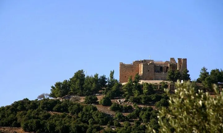 One Day Trip to Jerash & Ajloun Castle
