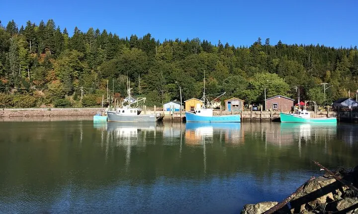 Private Sightseeing Tour In Saint John