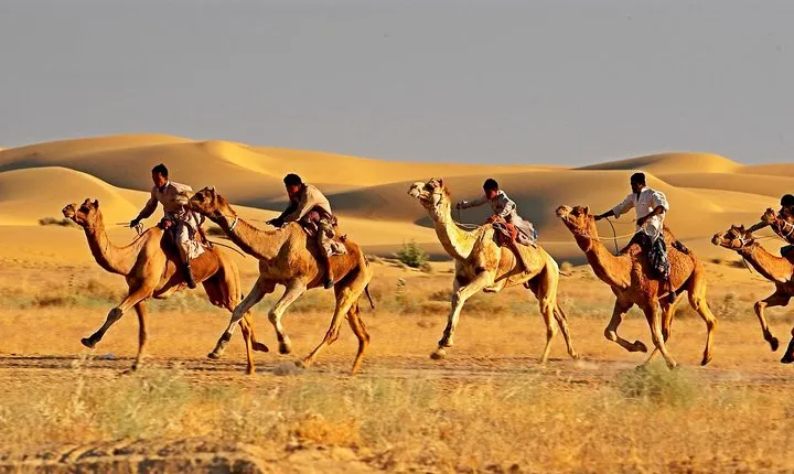  Private Golden Triangle Tour With Ajmer Pushkar