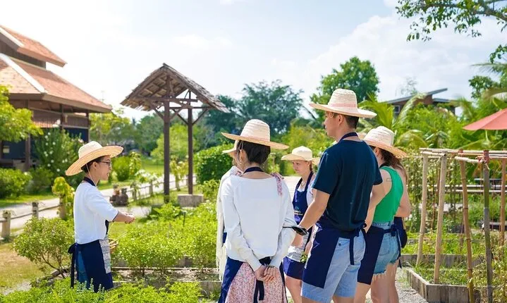 Chiang Mai Farm to Table Thai Cooking Class