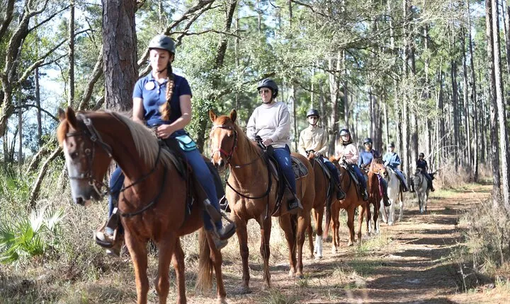 Guided Two Hour Horseback Trail Ride in Central Florida