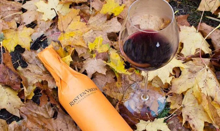Stellenbosch Winelands Connoisseur Day Tour with Private Transfer