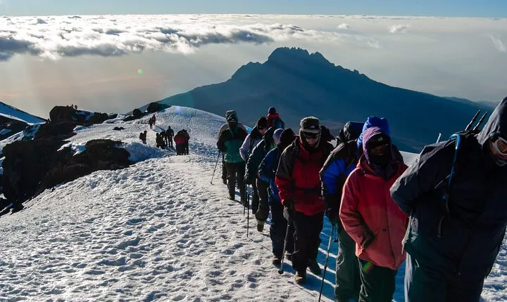 8 Days Mount Kilimanjaro Climbing Lemosho Route