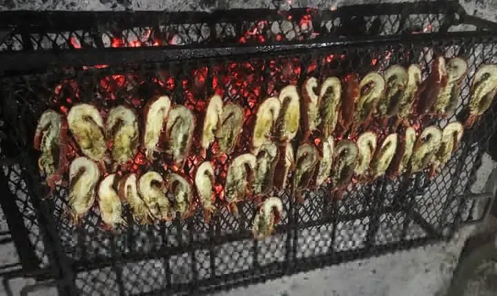 Private West Coast Food Experience in Langebaan with Pickup