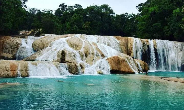 Full Day at Agua Azul Waterfalls, Misol Ha and Palenque