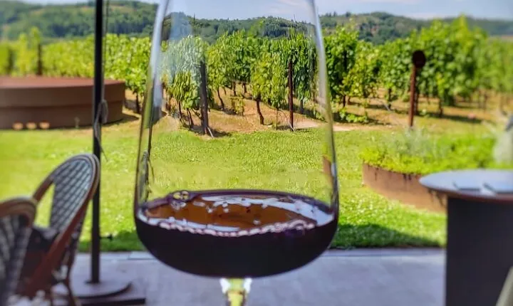 Private Chianti wine tour