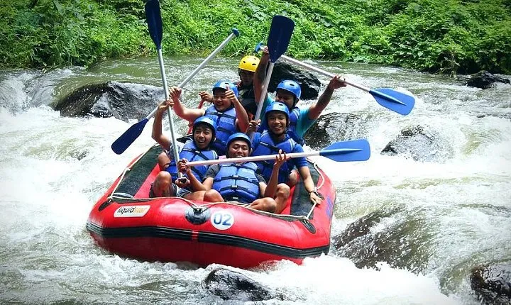White Water Rafting - Ayung River