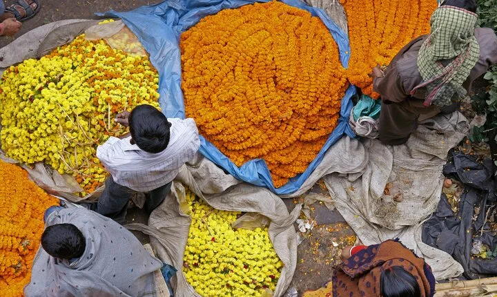Half Day Tour to the Flower Market and Howrah Bridge in Kolkata