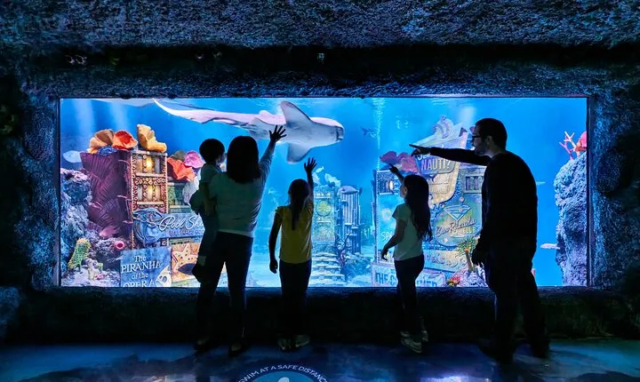 SEA LIFE New Jersey at American Dream