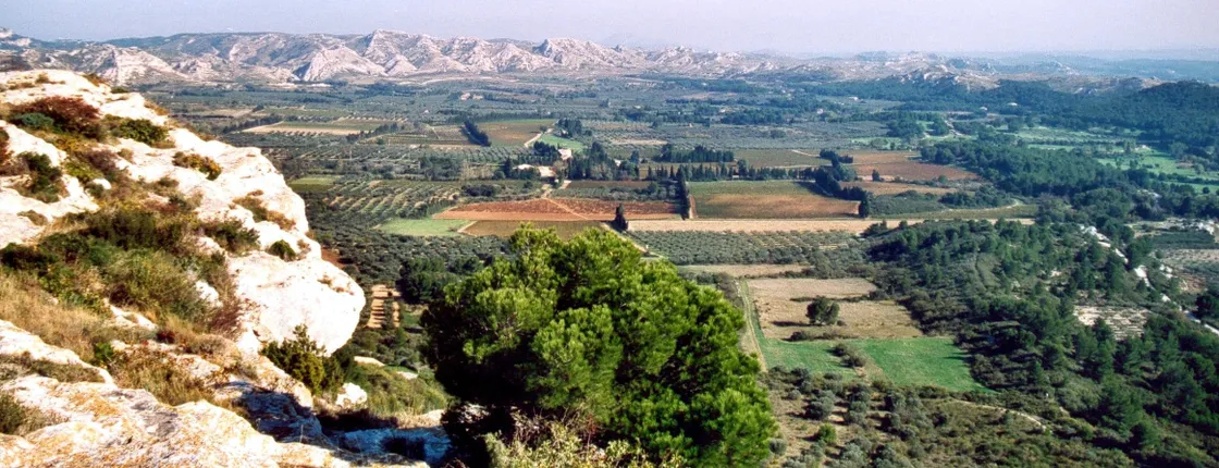 Arles, Saint-Rémy and Les Baux-de-Provence private tour