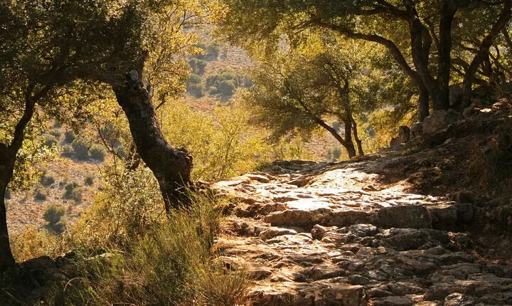Road-trip to Lasithi: Vidiani, Krasi, Olive Mill Farm, Lasinthos