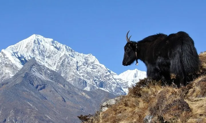 Pikey Peak Trek Everest View