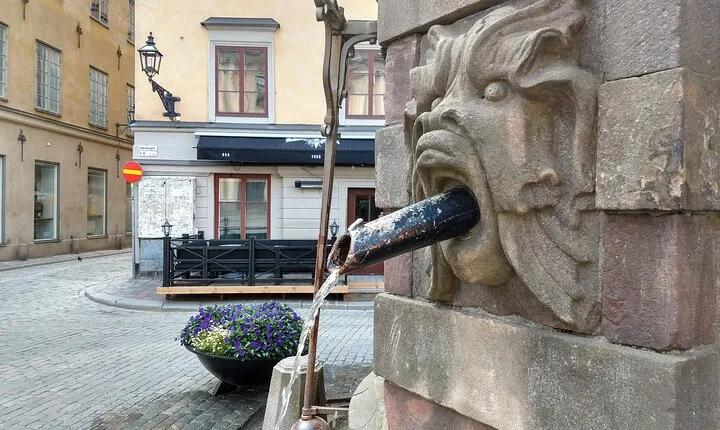 Private German-Swedish connections