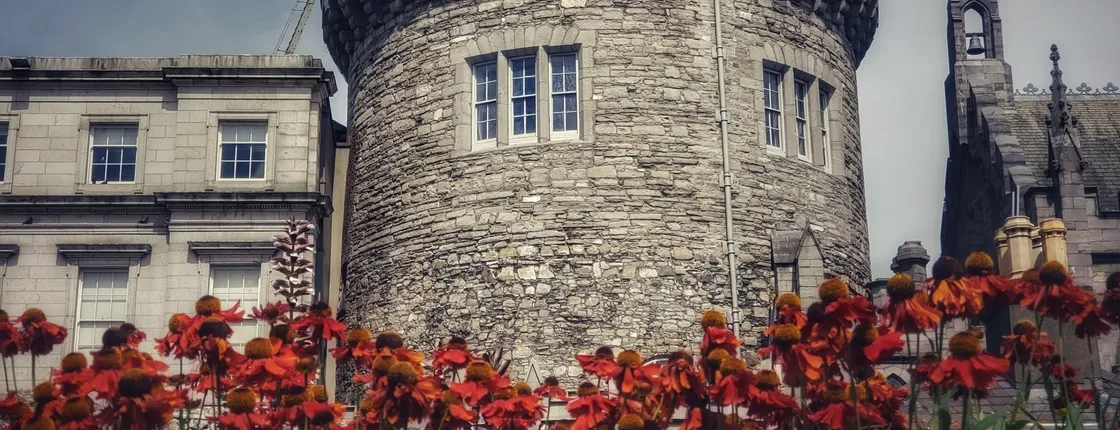Exclusive private guided tour through the history of Dublin with a local