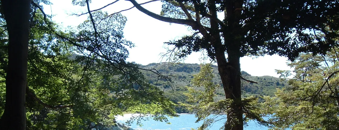 Half Day Excursion to Tierra del Fuego National Park