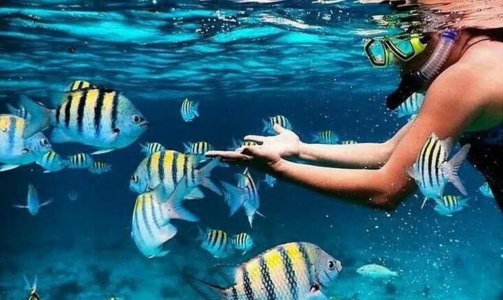 Bali Blue Lagoon Snorkeling with Waterfalls Tour - all included