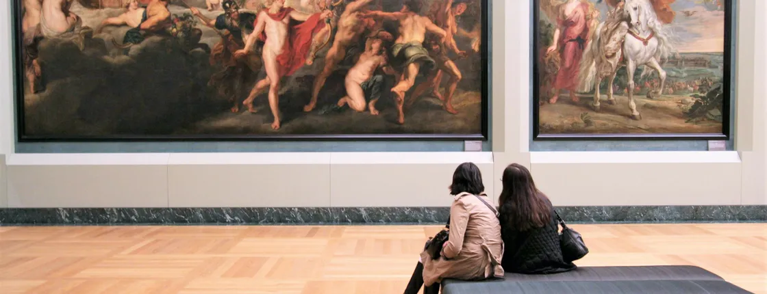 Visit of the Louvre Museum and cruise ticket