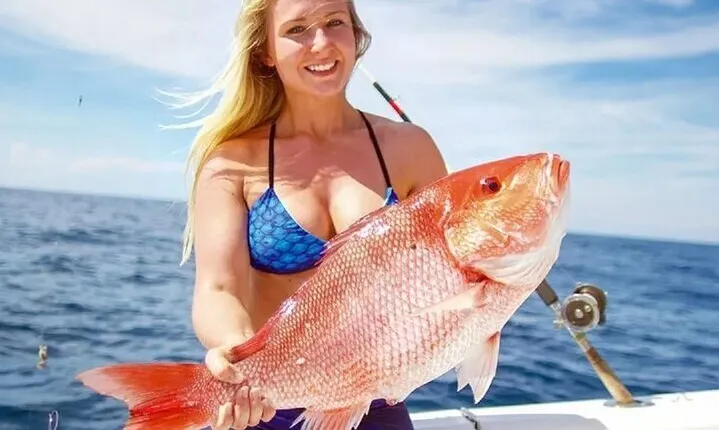 Private Overnight Fishing with Equipment and Dinner - Hurghada