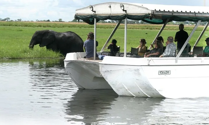 Sunset Cruise on Chobe River with Hotel Pickup from Kasane