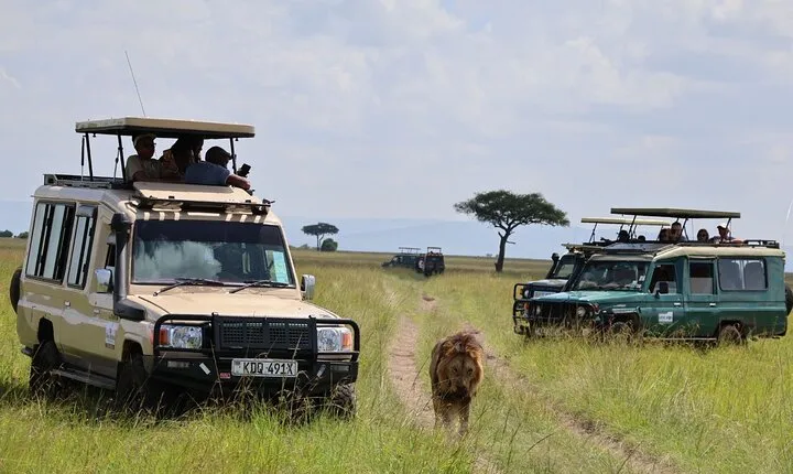 3 Day Private Tour in Maasai Mara with Lodge Luxury with Jeep