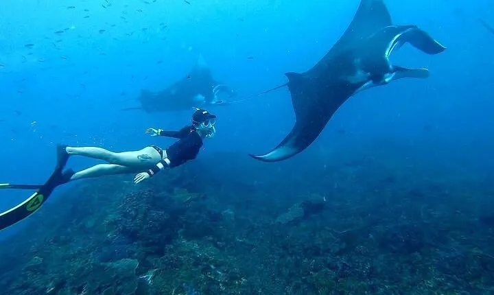 Snorkeling In Nusa Penida And Uluwatu Sunset Tours