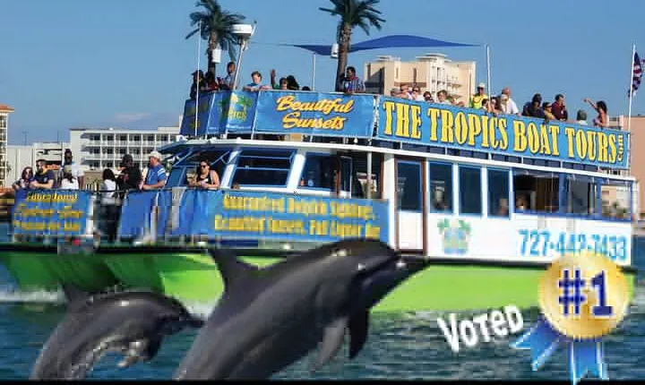 Guaranteed Dolphin Sighting Tour on Tropics Boat Tours