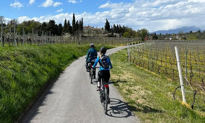 4-Hour Guided E-bike Tour of the Two Wineries in Bardolino