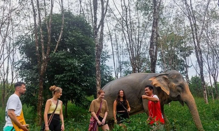 Khao Lak Elephant Sanctuary Full Day Small Group Tour