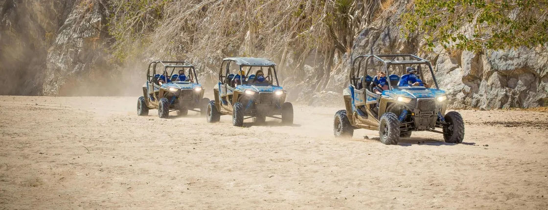 Combo camel ride and off-road UTV adventure with buffet meal