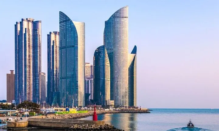 Private Custom Tour with a Local Guide Busan