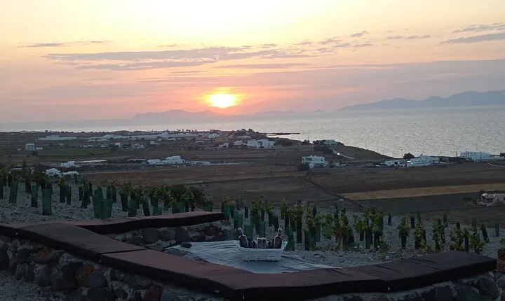 Santorini: Private Agri-Educational Visit to an Organic Farm