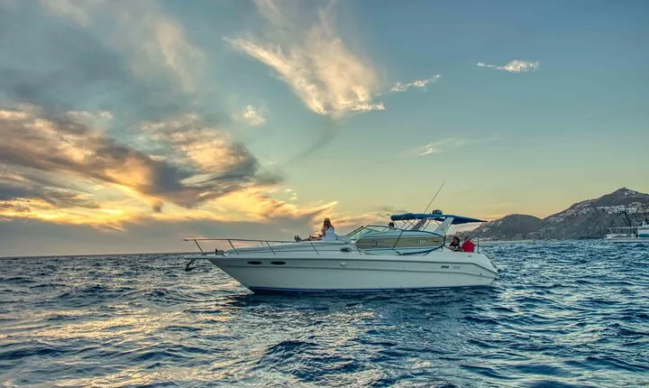 Private Whale Watching on Luxury Yacht in Cabo San Lucas