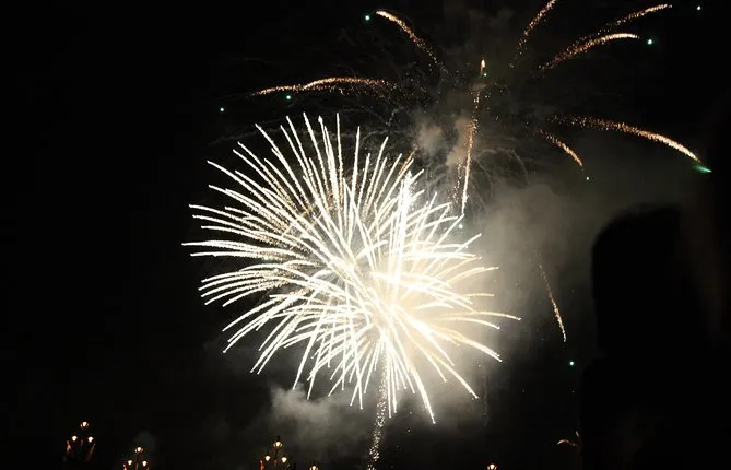 New Years Eve Dinner Cruise in Budapest 4 hours