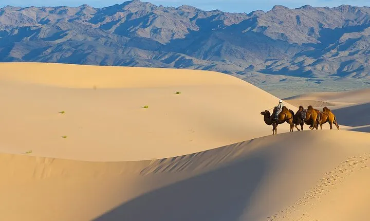 Captivating Central Mongolia with Guide