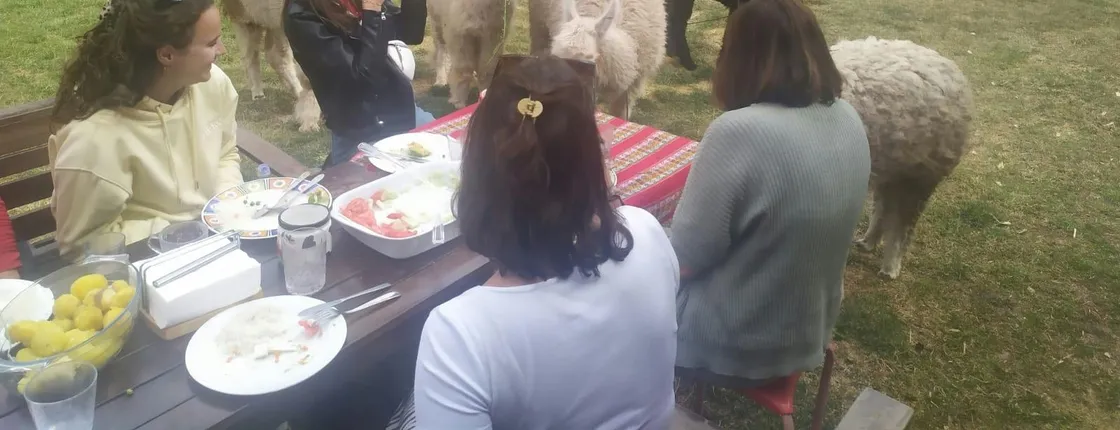 Flavors and Traditions of Peru with a Local Family in Cuzco