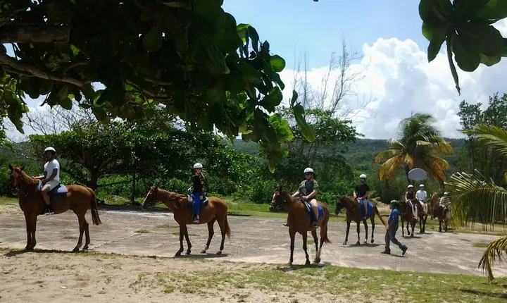 Horseback Riding and Swim from Montego Bay
